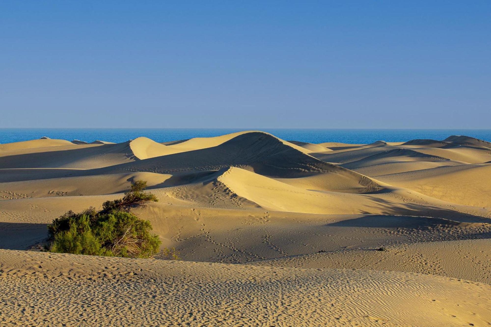 Bungalow Beside The Maspalomas Dunes By Pride Holiday Rentals San Bartolomé 外观 照片